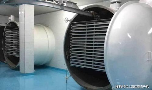 凍干食品市場(chǎng)分析及食品凍干生產(chǎn)設(shè)備發(fā)展趨勢(shì)與光伏設(shè)備及元器件銷售的關(guān)聯(lián)